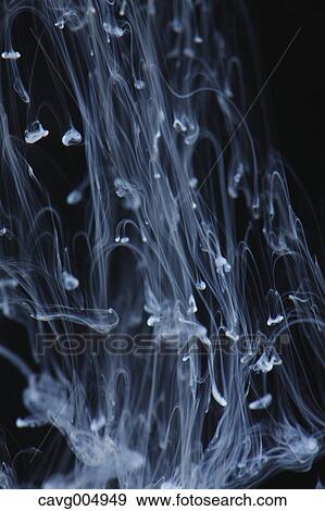 Stock Photo - White Liquid Underwater. Fotosearch