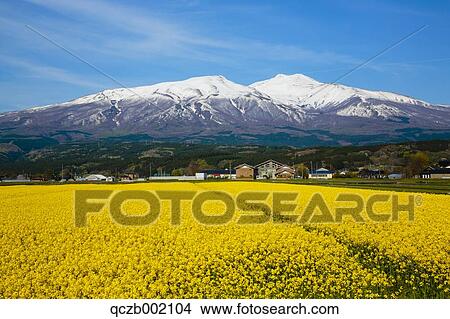 Picture - Yamagata Prefecture, Japan. Fotosearch