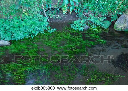 Yamagata Prefecture, Japan View Large Photo Image Stock Image - Yamagata Prefecture, Japan. Fotosearch