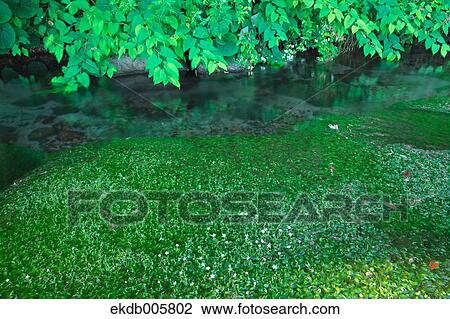 Yamagata Prefecture, Japan View Large Photo Image Stock Image - Yamagata Prefecture, Japan. Fotosearch