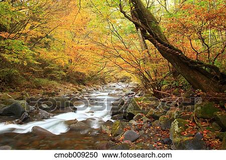 Yamanashi Prefecture, Japan View Large Photo Image Stock Image - Yamanashi Prefecture, Japan. Fotosearch