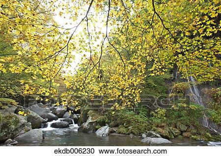 Yamanashi Prefecture, Japan View Large Photo Image Stock Image - Yamanashi Prefecture, Japan. Fotosearch