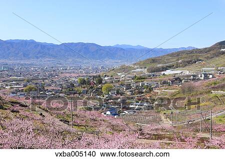 Stock Image - Yamanashi Prefecture, Japan. Fotosearch