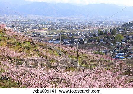 Yamanashi Prefecture, Japan View Large Photo Image Stock Image - Yamanashi Prefecture, Japan. Fotosearch