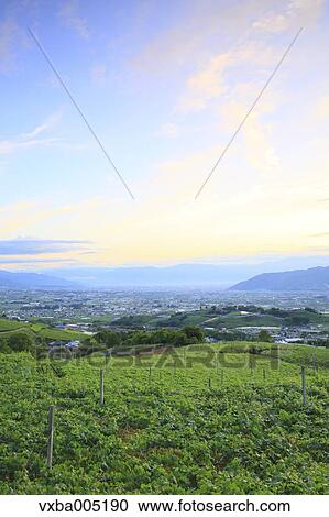 Yamanashi Prefecture, Japan View Large Photo Image Stock Image - Yamanashi Prefecture, Japan. Fotosearch