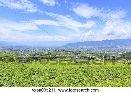 Yamanashi Prefecture, Japan View Large Photo Image Stock Image - Yamanashi Prefecture, Japan. Fotosearch