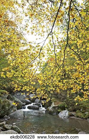 Yamanashi Prefecture, Japan View Large Photo Image Stock Photo - Yamanashi Prefecture, Japan. Fotosearch