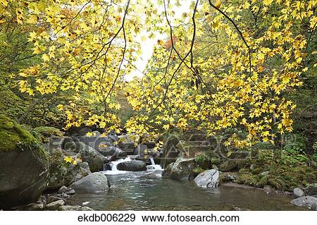 Yamanashi Prefecture, Japan View Large Photo Image Stock Photo - Yamanashi Prefecture, Japan. Fotosearch