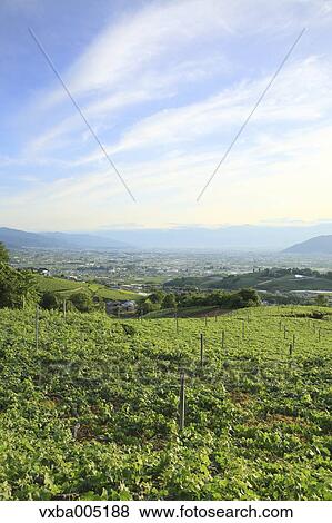 Yamanashi Prefecture, Japan View Large Photo Image Stock Photo - Yamanashi Prefecture, Japan. Fotosearch