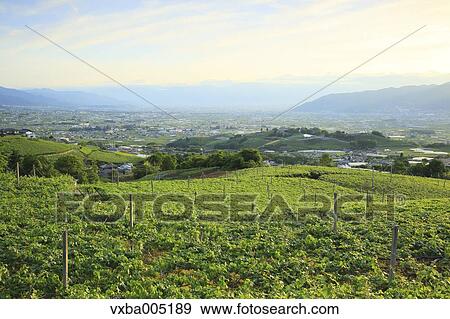 Yamanashi Prefecture, Japan View Large Photo Image Stock Photo - Yamanashi Prefecture, Japan. Fotosearch
