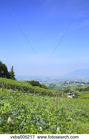 Yamanashi Prefecture, Japan View Large Photo Image Stock Photo - Yamanashi Prefecture, Japan. Fotosearch
