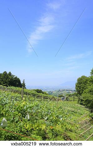 Yamanashi Prefecture, Japan View Large Photo Image Stock Photo - Yamanashi Prefecture, Japan. Fotosearch