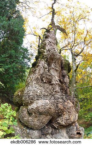 Yamanashi Prefecture, Japan View Large Photo Image Stock Photograph - Yamanashi Prefecture, Japan. Fotosearch