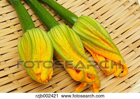 Zucchini Flowers View Large Photo Image Stock Image - Zucchini Flowers. Fotosearch