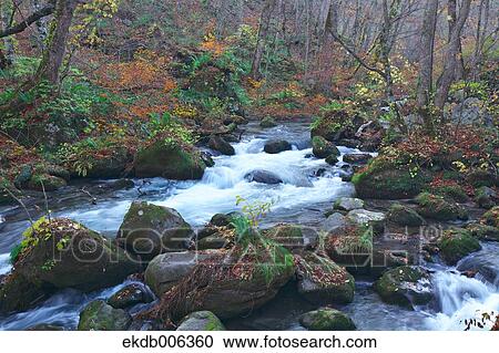 Aomori Prefecture, Japan View Large Photo Image Stock Image - Aomori Prefecture, Japan. Fotosearch