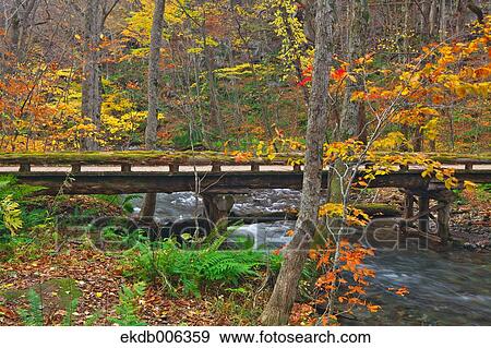 Aomori Prefecture, Japan View Large Photo Image Stock Photo - Aomori Prefecture, Japan. Fotosearch