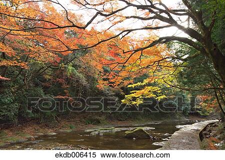 Autumn leaves View Large Photo Image Stock Photography - Autumn leaves. Fotosearch