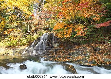 Fudou Waterfall, Aomori Prefecture, Japan View Large Photo Image Picture - Fudou Waterfall, Aomori Prefecture, Japan. Fotosearch