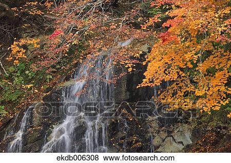 Fudou Waterfall, Aomori Prefecture, Japan View Large Photo Image Stock Photo - Fudou Waterfall, Aomori Prefecture, Japan. Fotosearch