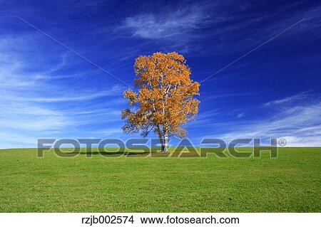 Picture - Hokkaido, Japan. Fotosearch
