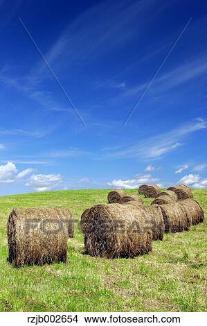 Picture - Hokkaido, Japan. Fotosearch