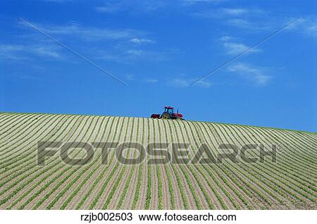Hokkaido, Japan View Large Photo Image Stock Image - Hokkaido, Japan. Fotosearch
