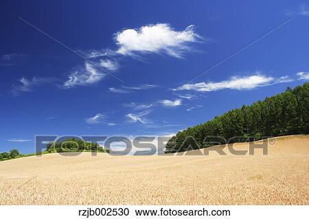 Hokkaido, Japan View Large Photo Image Stock Image - Hokkaido, Japan. Fotosearch