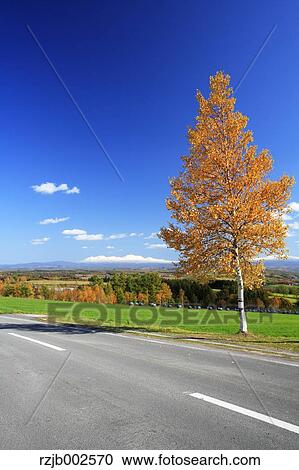 Hokkaido, Japan View Large Photo Image Stock Image - Hokkaido, Japan. Fotosearch