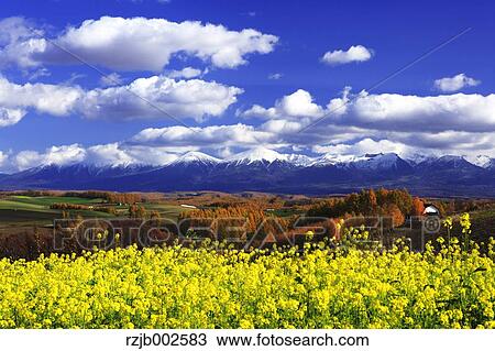 Stock Image - Hokkaido, Japan. Fotosearch