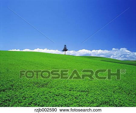Hokkaido, Japan View Large Photo Image Stock Image - Hokkaido, Japan. Fotosearch