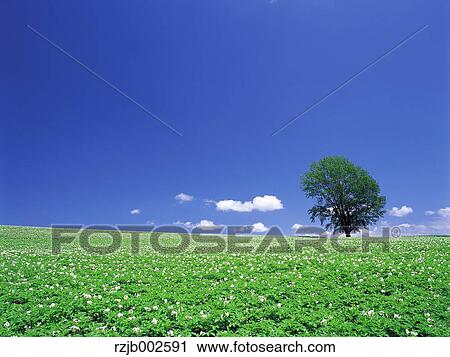 Hokkaido, Japan View Large Photo Image Stock Image - Hokkaido, Japan. Fotosearch