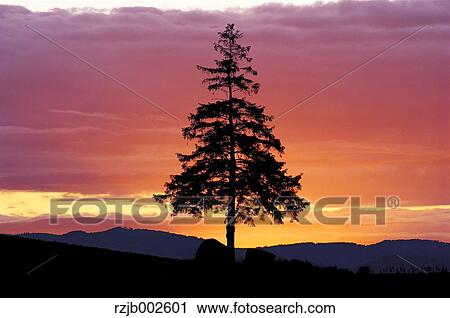 Stock Image - Hokkaido, Japan. Fotosearch