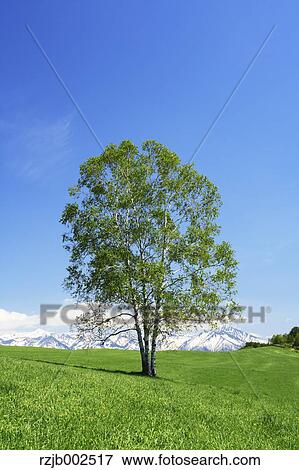 Hokkaido, Japan View Large Photo Image Stock Photo - Hokkaido, Japan. Fotosearch