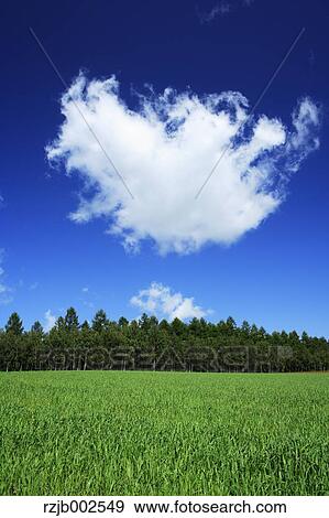 Hokkaido, Japan View Large Photo Image Stock Photo - Hokkaido, Japan. Fotosearch