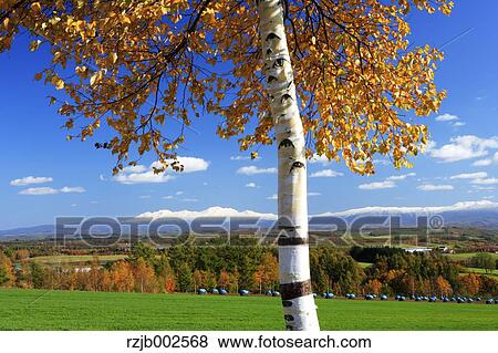 Hokkaido, Japan View Large Photo Image Stock Photo - Hokkaido, Japan. Fotosearch