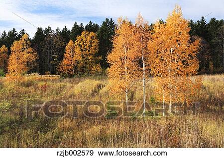Hokkaido, Japan View Large Photo Image Stock Photo - Hokkaido, Japan. Fotosearch