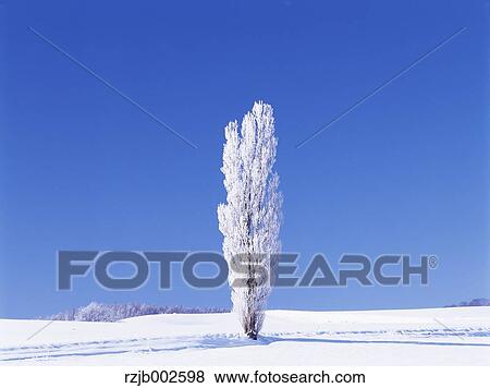 Stock Photo - Hokkaido, Japan. Fotosearch
