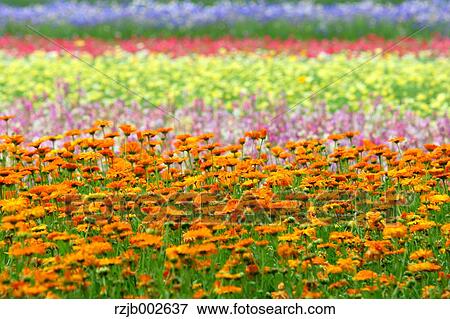 Hokkaido, Japan View Large Photo Image Stock Photo - Hokkaido, Japan. Fotosearch