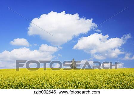 Stock Photograph - Hokkaido, Japan. Fotosearch