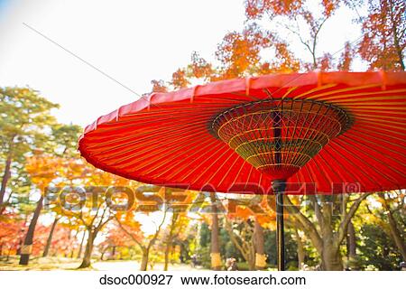 Japanese style paper parasol View Large Photo Image Stock Photo - Japanese style paper parasol. Fotosearch