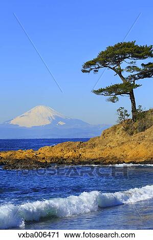 Kanagawa Prefecture, Japan View Large Photo Image Stock Image - Kanagawa Prefecture, Japan. Fotosearch