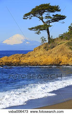 Kanagawa Prefecture, Japan View Large Photo Image Stock Image - Kanagawa Prefecture, Japan. Fotosearch