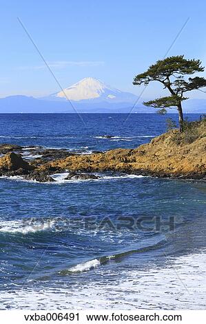 Kanagawa Prefecture, Japan View Large Photo Image Stock Image - Kanagawa Prefecture, Japan. Fotosearch