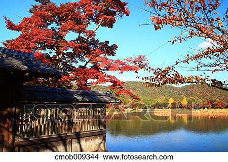 Picture - Kyoto Prefecture, Japan. Fotosearch