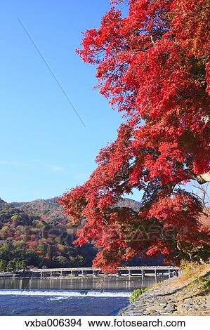 Kyoto Prefecture, Japan View Large Photo Image Picture - Kyoto Prefecture, Japan. Fotosearch