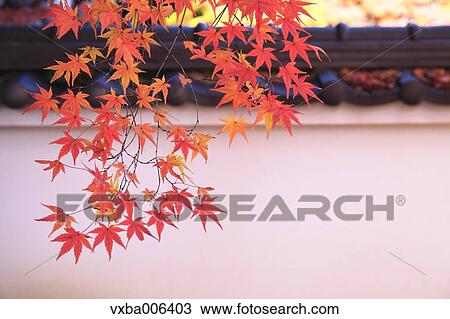 Kyoto Prefecture, Japan View Large Photo Image Stock Image - Kyoto Prefecture, Japan. Fotosearch
