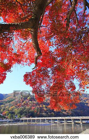 Kyoto Prefecture, Japan View Large Photo Image Stock Photo - Kyoto Prefecture, Japan. Fotosearch