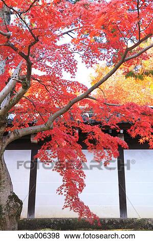 Kyoto Prefecture, Japan View Large Photo Image Stock Photo - Kyoto Prefecture, Japan. Fotosearch
