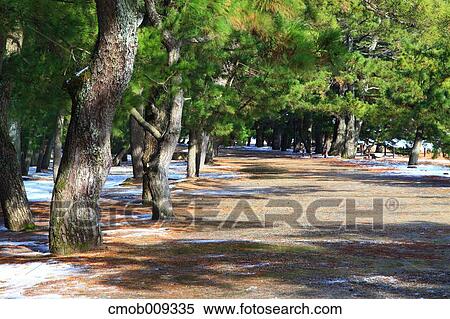 Stock Photography - Kyoto Prefecture, Japan. Fotosearch