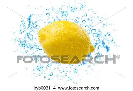 Lemon and water splash View Large Photo Image Picture - Lemon and water splash. Fotosearch